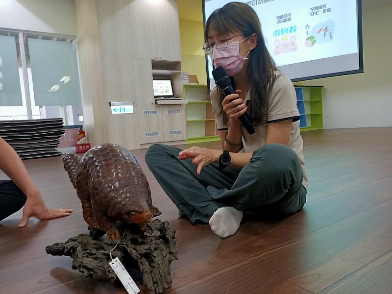 急救站保育員以穿山甲標本介紹生存危機