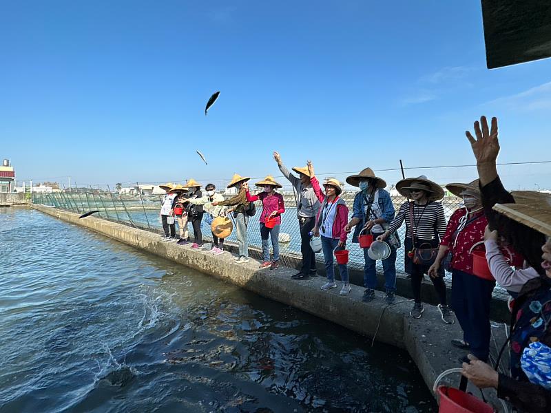 屏東社區在縣府的支持下,發展社區小旅行,帶遊客餵食龍膽石斑魚。