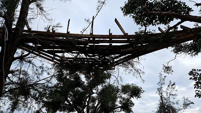 臺東森林公園《林中懸亭》國產材創意應用與教育共創今發表 饒慶鈴：展現自然與藝術的創新交織