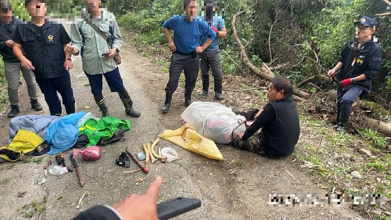 林業保育署花蓮分署及保七總隊查緝非法，查獲盜採牛樟芝及金線蓮犯嫌3人。