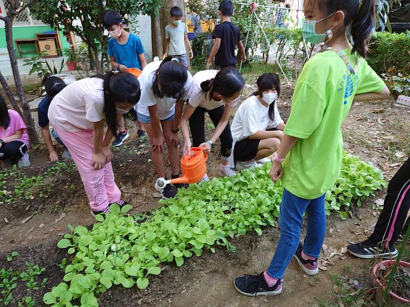 農業體驗暨食農教育課程
