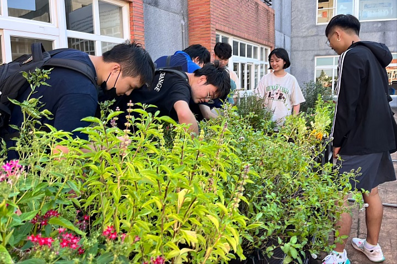 圖／中華大學或環保局補助，在校園M棟種植多項植栽設置綠屋頂，植栽量體面積約達15平方公尺。