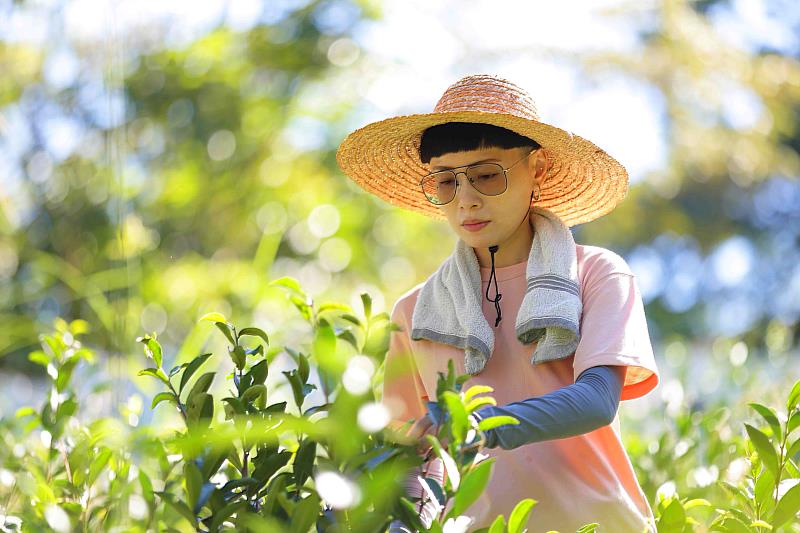 三峽區谷芳茶園所產谷芳友善精品茶葉禮盒獲「靛藍設計獎」金獎肯定