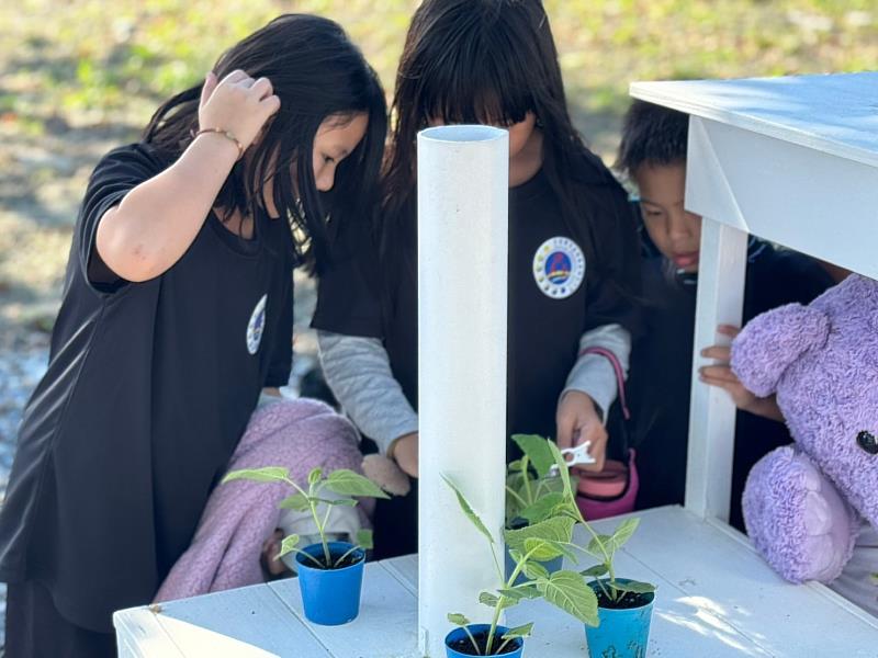 香草植物微觀課程