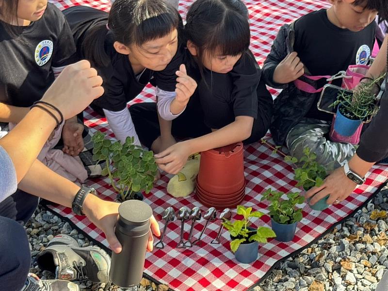 學生透過香草實際與大自然零距離接觸