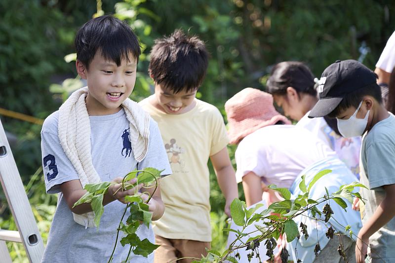 帶領學童到農園認識採摘野菜