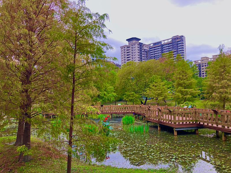 捷運線幸福站步行5分鐘處，頭前運動公園內詩情畫意落羽松生態池