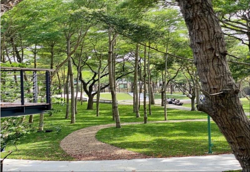 新竹市明湖公園環境改造工程計畫