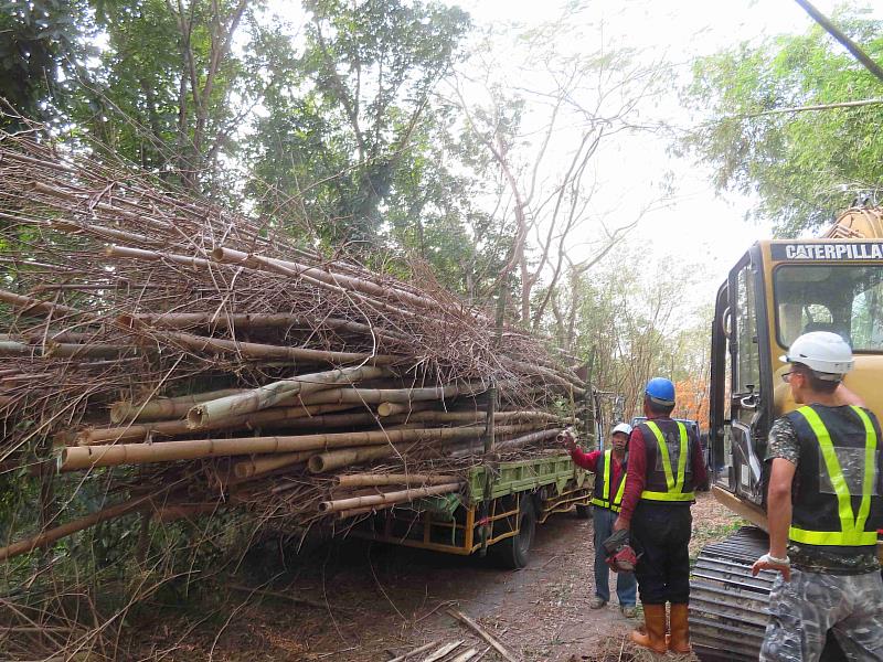 林業保育署嘉義分署目前將轄內莿竹等5種竹材列入FSC驗證產品名單