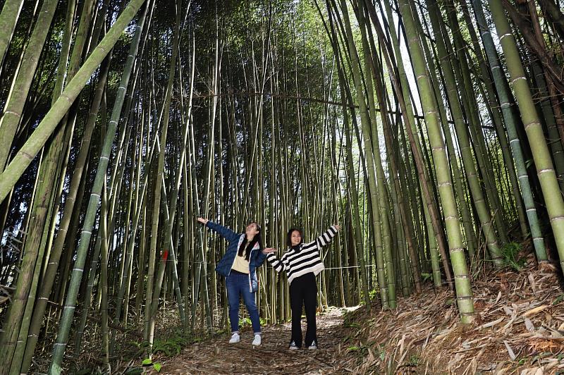 白蘭溪古道沿途恬靜清幽、美景如畫。