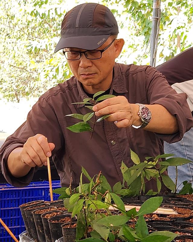 教授卓逸民帶領勞作教育生態永續林相更新實作