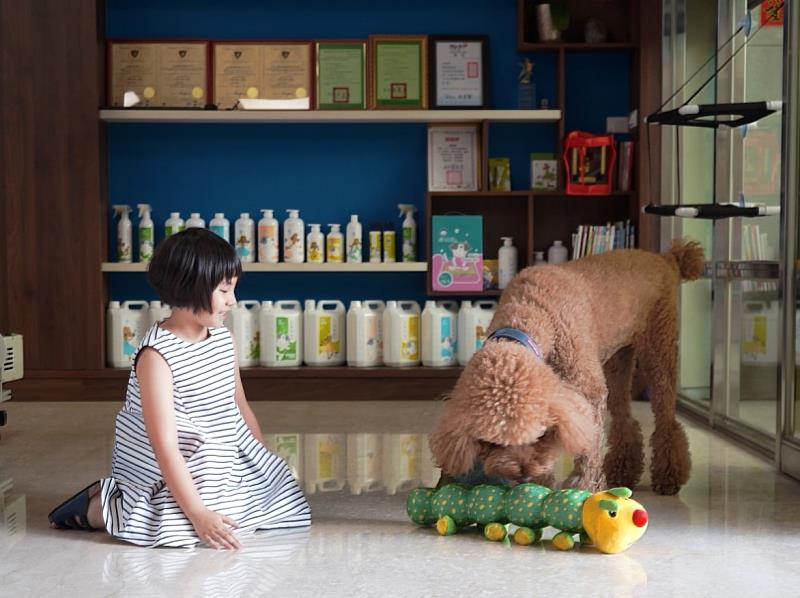 毛孩喜愛咬的玩具，容易藏污納垢且滋生細菌，對寵物及小孩都可能引發過敏症狀。（資料來源：臭味滾）