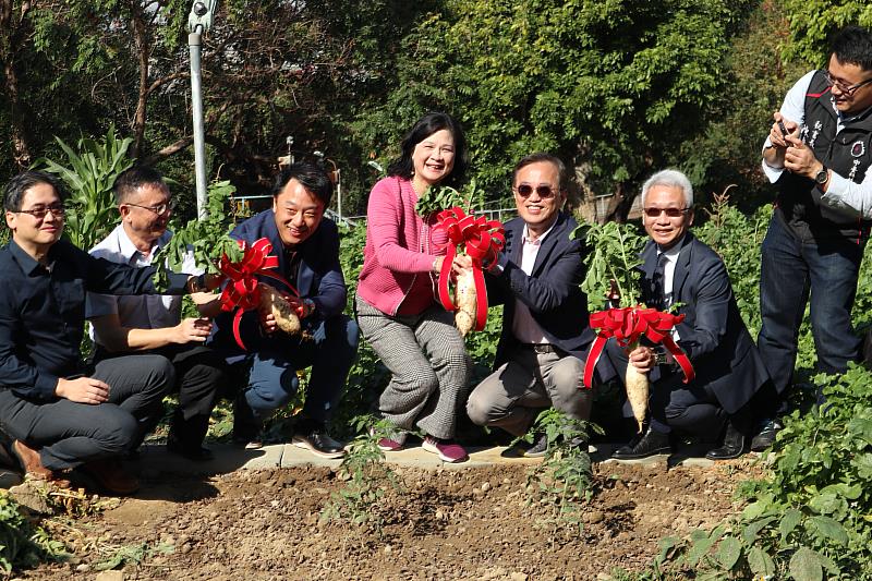 中臺科大主管與校友總會體驗拔蘿蔔的樂趣