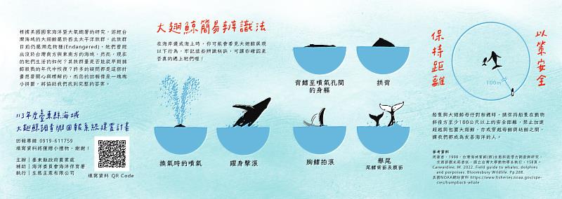 目擊大翅鯨 臺東縣政府提醒請撥打回報專線 協助完成人類與海洋間和諧小拼圖