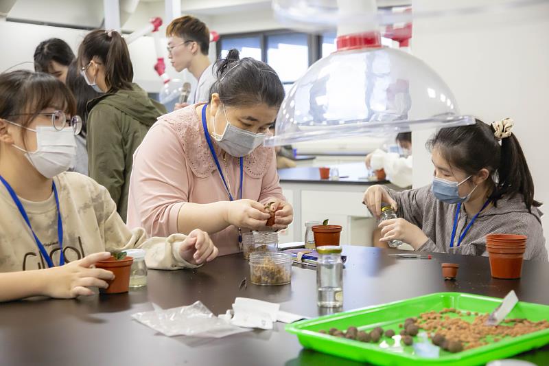 學生以金線蓮製作植物組織培養