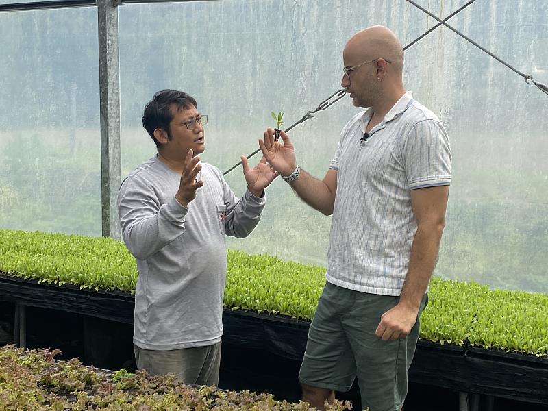尖石鄉雅葳農場培育金盞花與種植高山蔬菜。