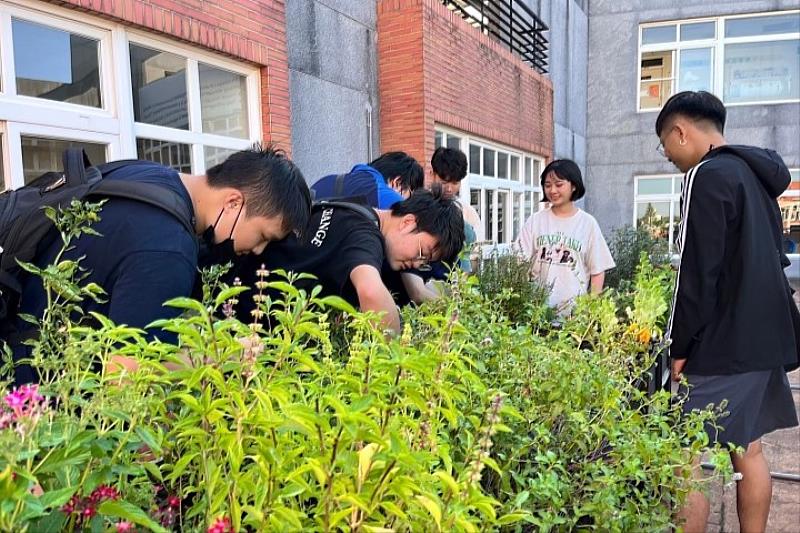 圖／中華大學景觀建築學系同學們細心照料「低碳空中花園」植栽。