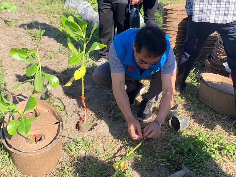 慈心基金會媒合企業於台東示範以水寶盆植樹  協助台東縣府海岸造林
