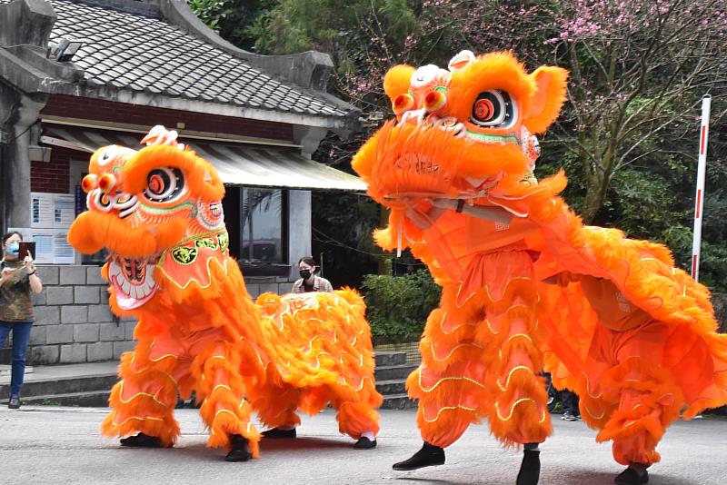 兩頭可愛金獅從華梵大學校門口舞進校園，為金龍年帶來好兆頭。