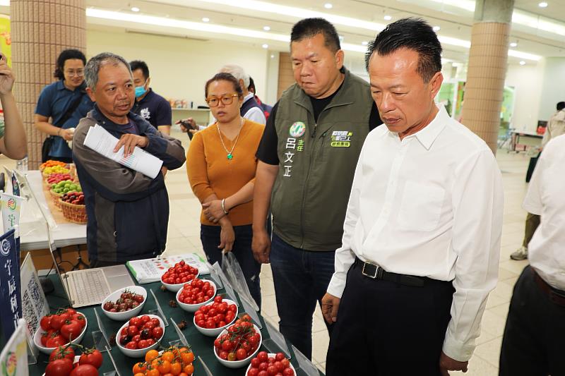 嘉義縣農民自主發起小果番茄品評 分享栽培經驗精益求精