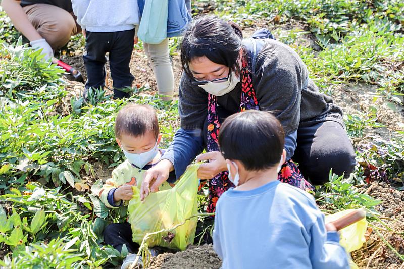 嘉義縣社區規劃師駐地輔導成果發表眾人挖地瓜享田園之樂-5