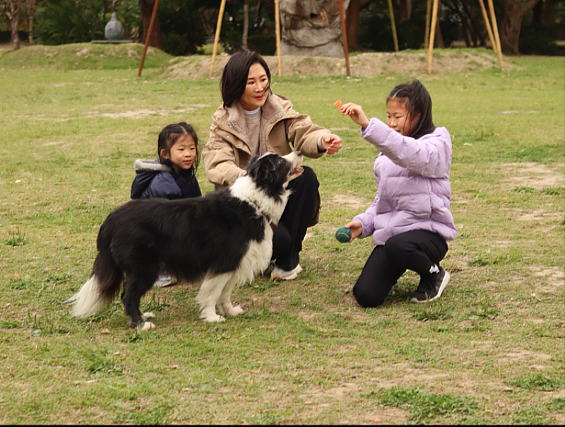 A dog’s sense of smell is more refined than humans and after professional training it can be a valuable tool. (Photo courtesy of Jehovah’s Witnesses)