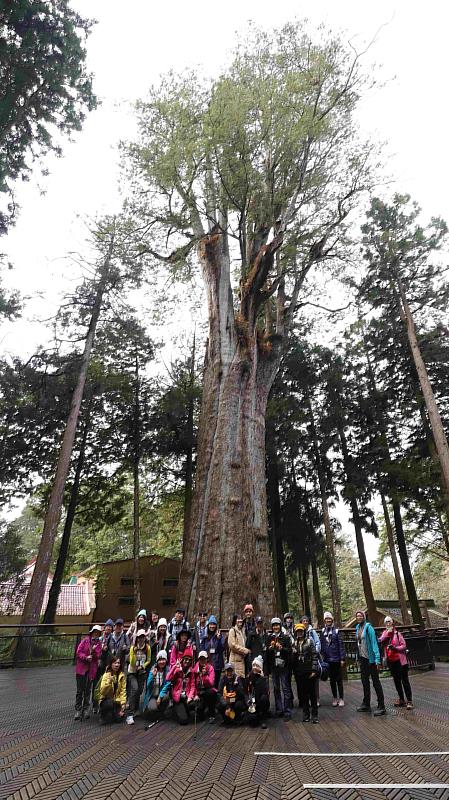 白天由阿里山在地導覽解說員帶著學員於阿里山國家森林遊樂區內瞭解豐富的阿里山生態與林業開發史