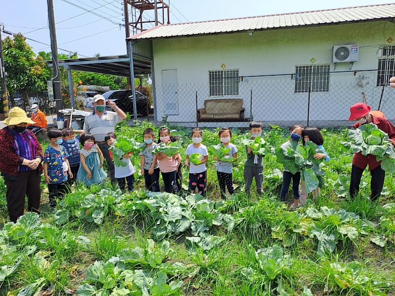 老幼共學到菜園