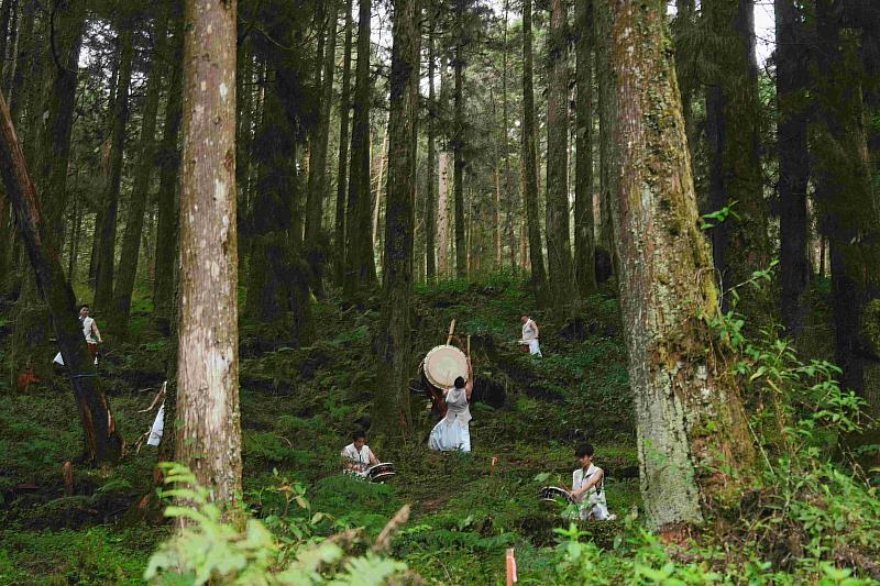 众擊坊於森林間帶來結合舞蹈及音樂的表演