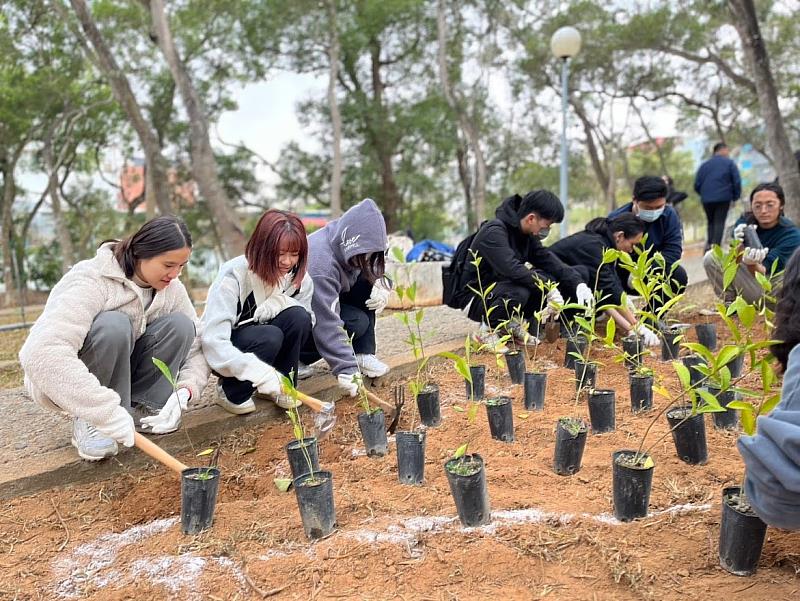 學生們攜手種植山黃梔灌木, 美化步道，更新校園生態與林相