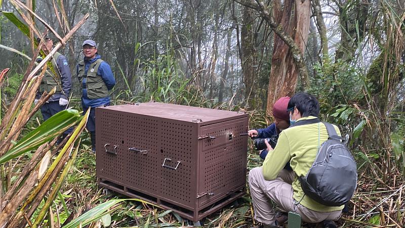 Lanihu野放前，也灣野生動物保育協會及工作人員正在進行最後的確認工作