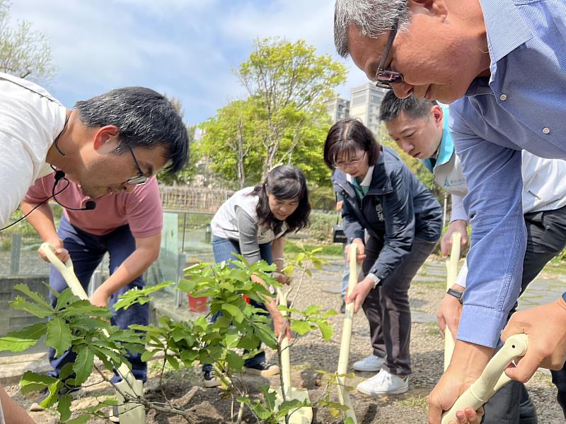 秘書長張治祥與林業保育署分署長夏榮生共同在將軍村種下槲櫟樹苗,啟動新竹市瀕危植物復育