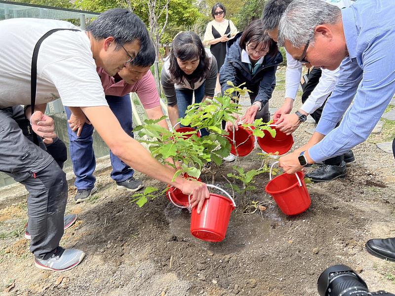 秘書長張治祥與林業保育署分署長夏榮生共同在將軍村種下槲櫟樹苗,啟動新竹市瀕危植物復育
