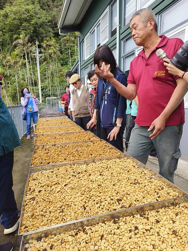 咖啡後製處理不同各有風味