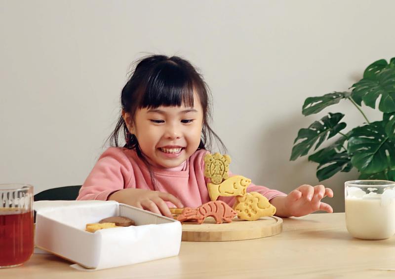 厚度約2公分的夾心餅乾可以垂直站立，讓孩童可以透過疊疊樂遊戲體驗生態平衡的重要性。