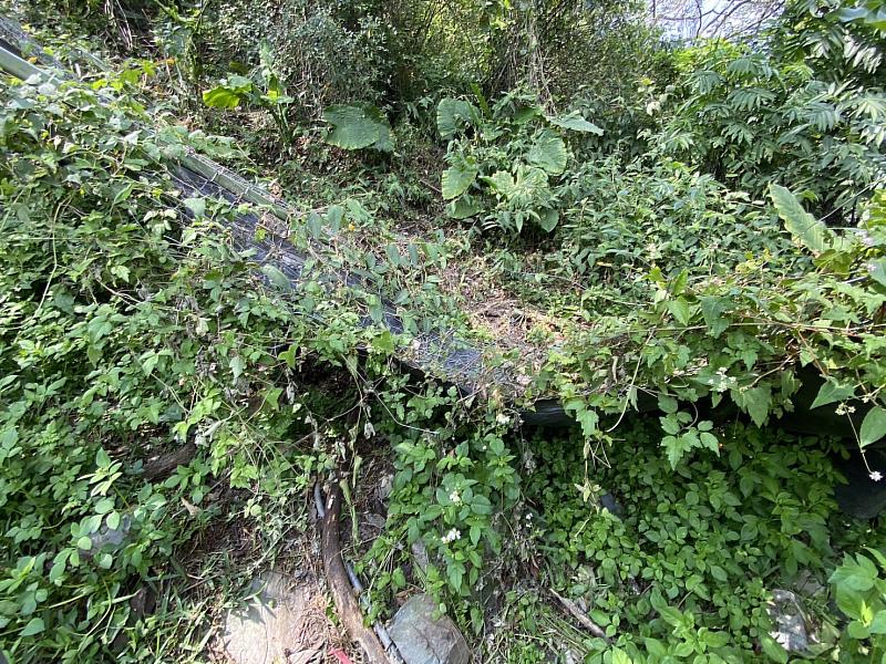 甜柿園現場未通電電圍網遭受黑熊入侵破壞