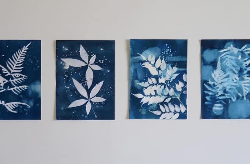 「福茶苑」認識茶園生態紋理，用植物藍曬創作自己的明信片。