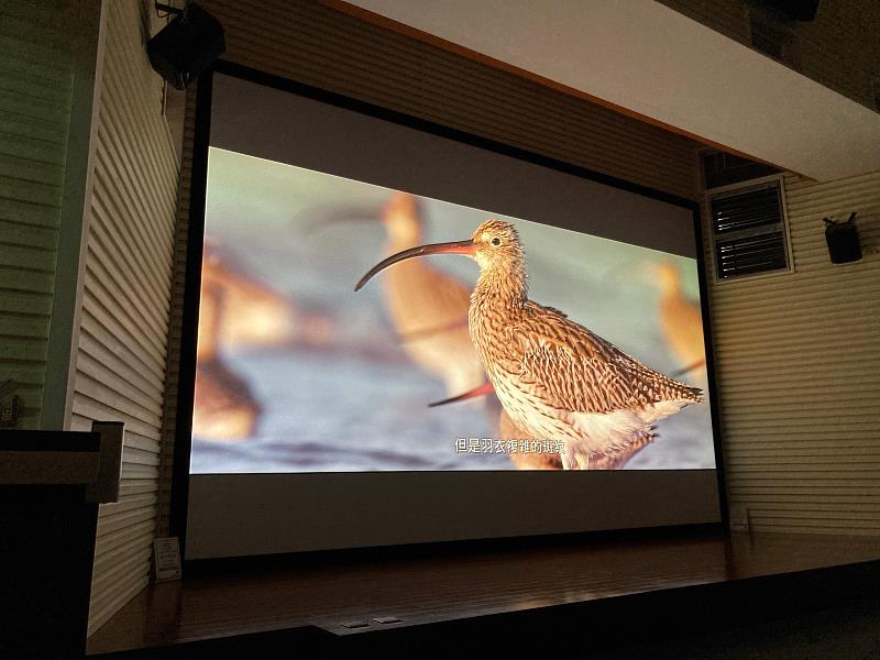 《勇闖天際線》紀錄片耗時4年製作，主要介紹3種鷸科鳥類的遷徙歷程