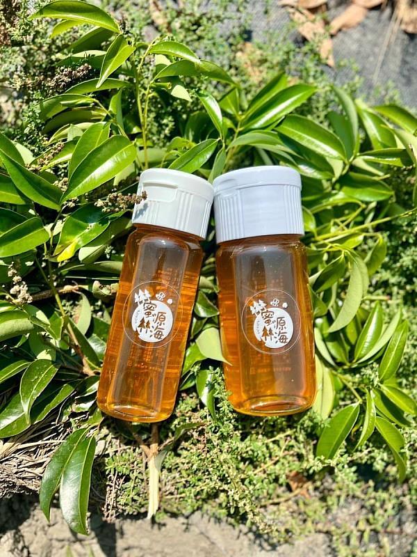 臺東首款產自保安林自然熟成蜂蜜 「蜜源林海」 2024森林市集登場邀您甜蜜嘗鮮