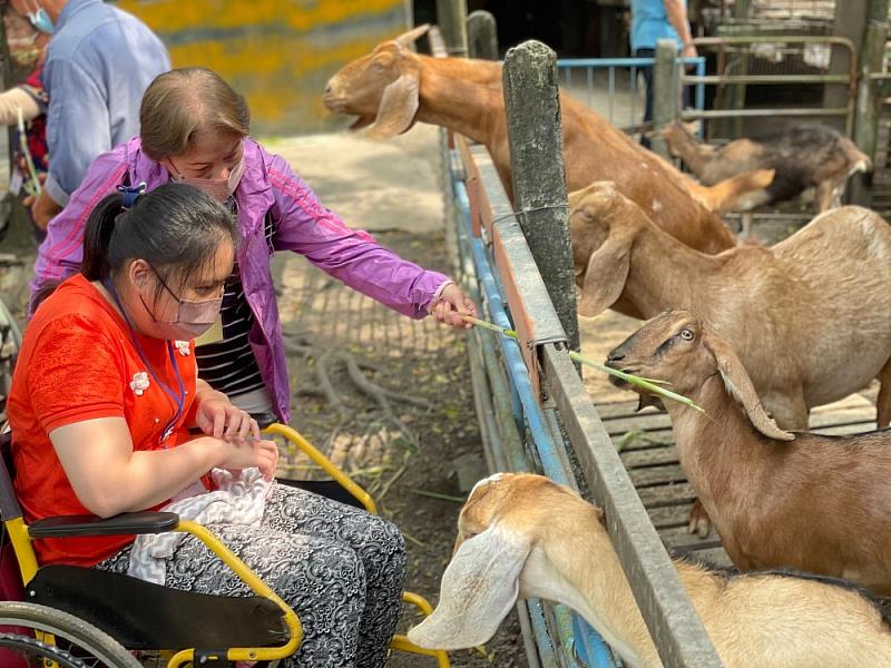 長照家庭參加戶外喘息之旅到牧場遊玩_0