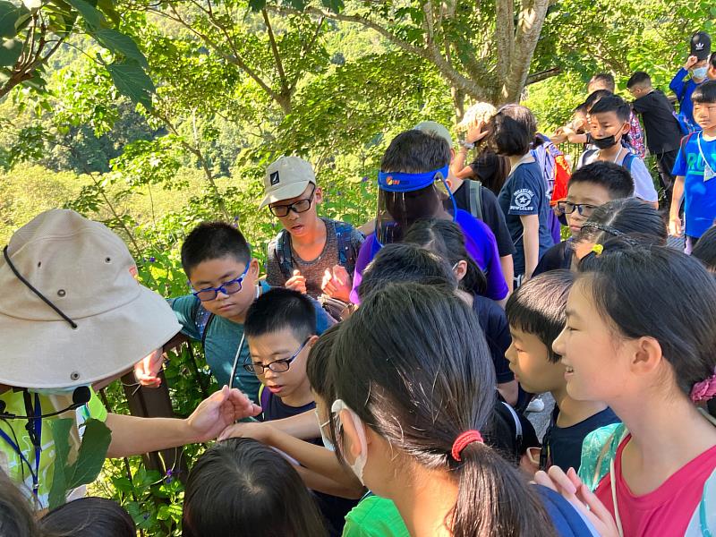 救國團2024夏天最FUN最HIGH的營隊 原野の呼喚！小泰山山野體驗營帶你走進大自然