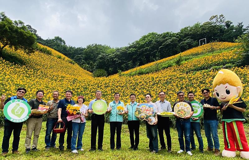 平地金針盛開 徜徉花海