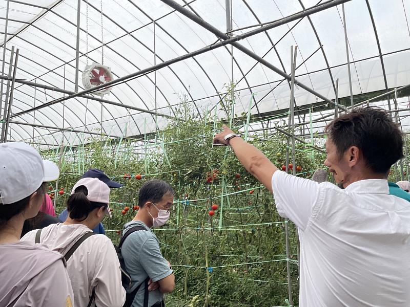 國本學堂學長分享番茄種植攻略  助力農友提高生產效率-3
