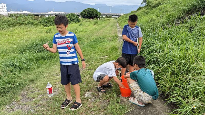 臺東推動濕地教育課程展成效 東海國小參與臺東縣第64屆科學展覽會榮獲第二名