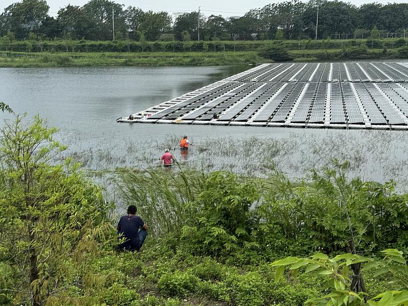 中埔鄉公館滯洪池疑發現鱷魚蹤跡 縣府緊急派員巡查