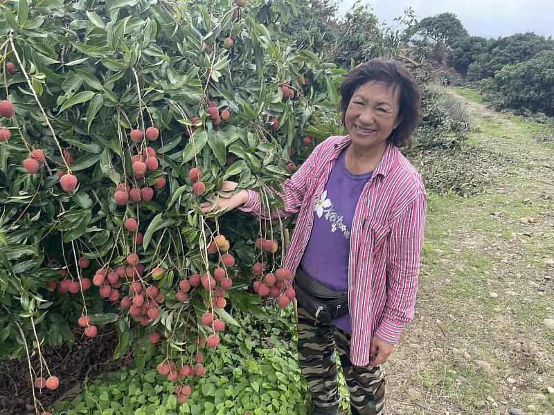 「高雄首選」以粒裝分級包裝，不帶枝不帶葉，去蕪存菁，將枝葉留在產地，並採用通過產銷履歷驗證的玉荷包。