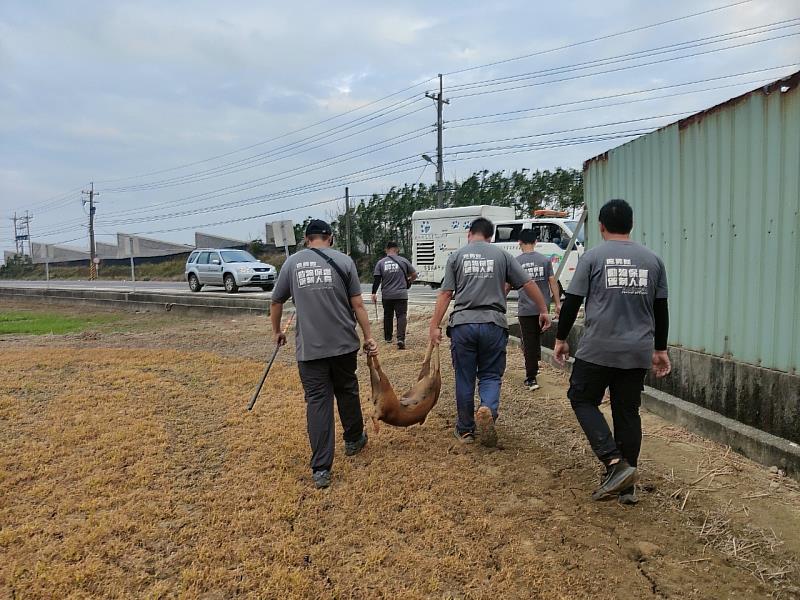 舒緩海區遊蕩犬問題，嘉縣海區三鄉鎮成立專人專線