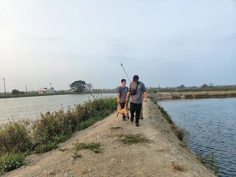 舒緩海區遊蕩犬問題，嘉縣海區三鄉鎮成立專人專線