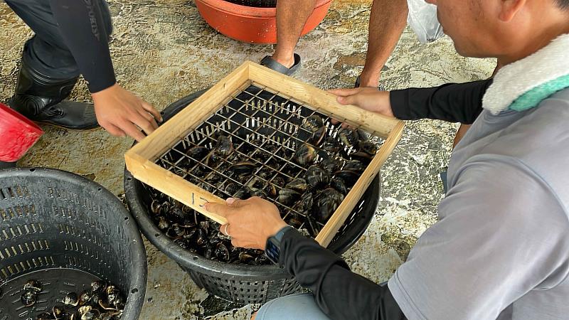 國本學堂農業場域交流會 卓越班學長分享文蛤養殖管理心法