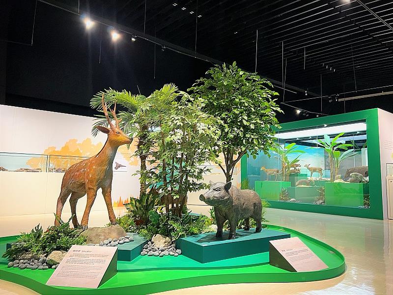 十三行博物館「臺灣史前動物特展」古代叢林的擬真造景，彷彿置身於史前動物園